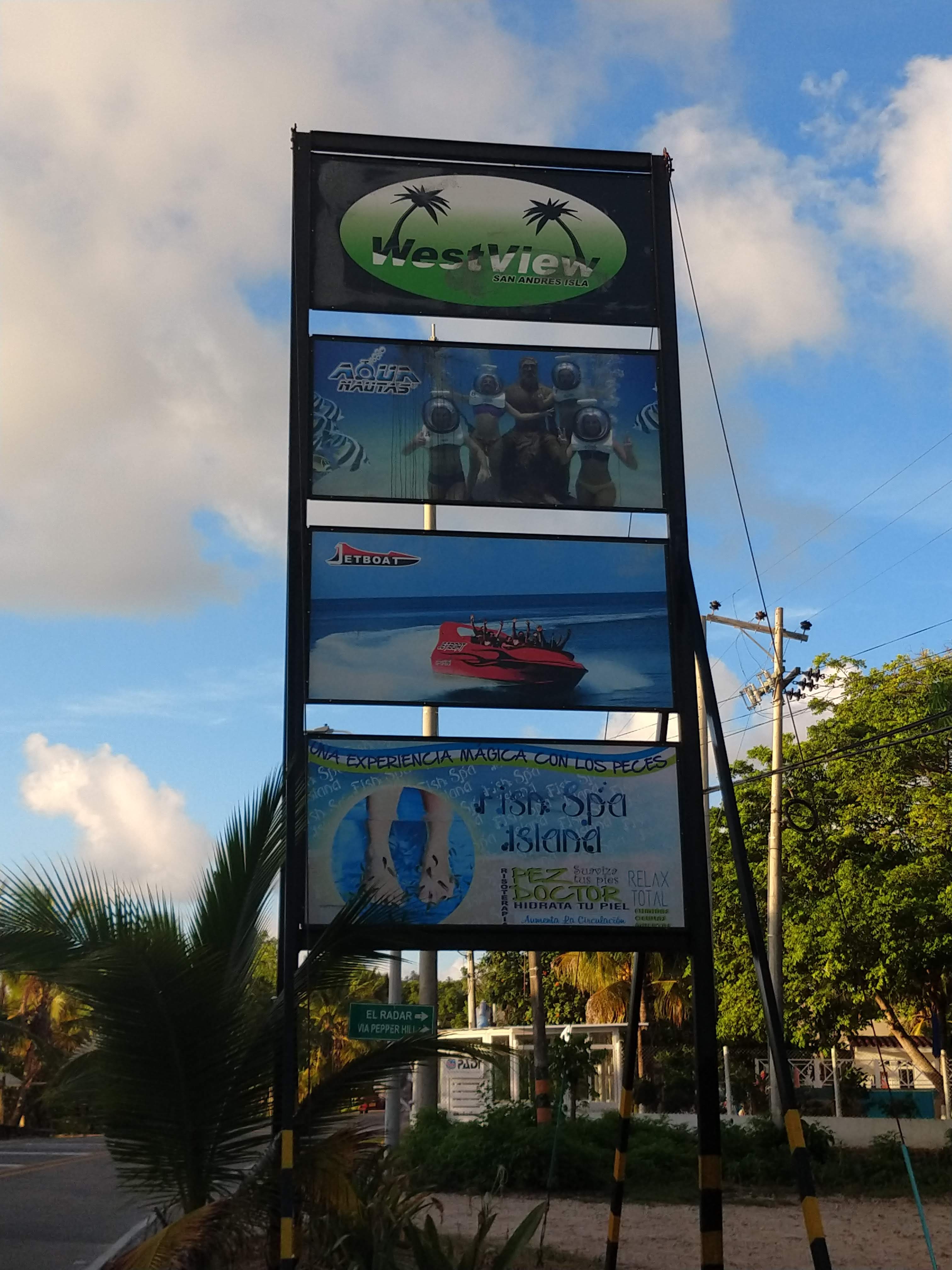 Local Beach Life